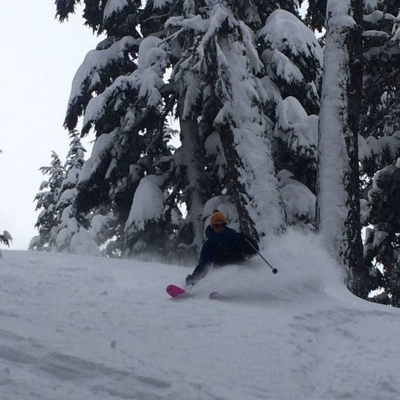 Meet your Posher, George - Picture 1 of 1